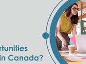 What Various Opportunities Tech-workers Canada?