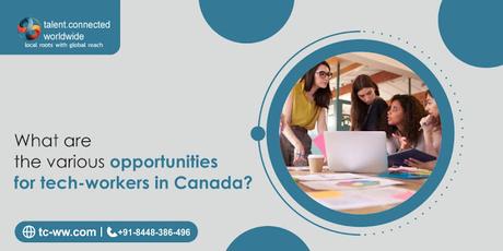 What are the various opportunities for tech-workers in Canada?