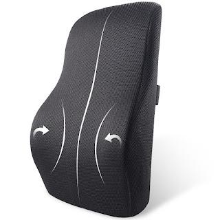 Best Seat Cushions for Lower Back Pain