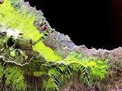 Synthetic Aperture Radar (SAR) Market Size, Share, Trends, Business Development, Analysis Opportunities 2018-2026