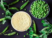 Protein Market Challenges, Opportunities, Regions Reports, Drivers, Segment Company Forecast, 2020 2027