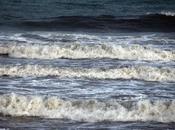 Waves Your Mind Think Corona