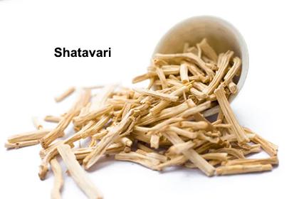 Shatavari Helps In Sexual Frigidity In Women After Childbirth!