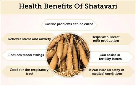 Shatavari Helps In Sexual Frigidity In Women After Childbirth! Shatavari Helps In Sexual Frigidity In Women After Childbirth!