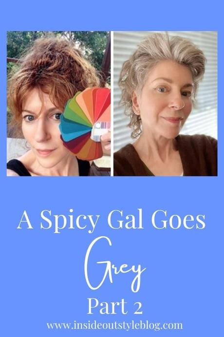 A Spicy Gal Goes Grey Part 2