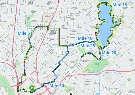 Big D-eal: The 50th Dallas Marathon Festival (50K)