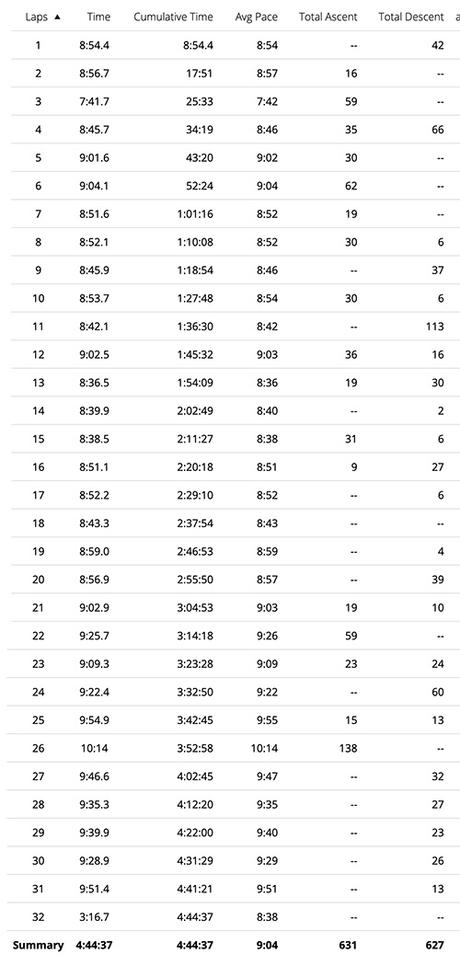 Big D-eal: The 50th Dallas Marathon Festival (50K)