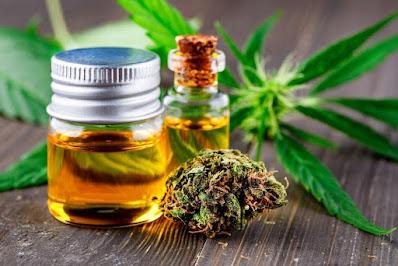 Cannabidiol (CBD) is one of 113 cannabinoids found in marijuana plants, accounting for up to 40% of the plant's extract.