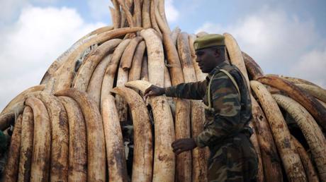Neo-colonialist attitudes ignoring poachernomics will ensure more extinctions