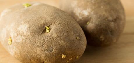 Everything You Need to Know About Potato Chitting