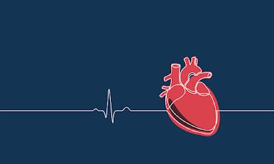 Organ Transplant Market Organ transplantation is a medical process in which an organ is removed from one body and transplanted into another to fill a gap or replace a damaged or missing organ.