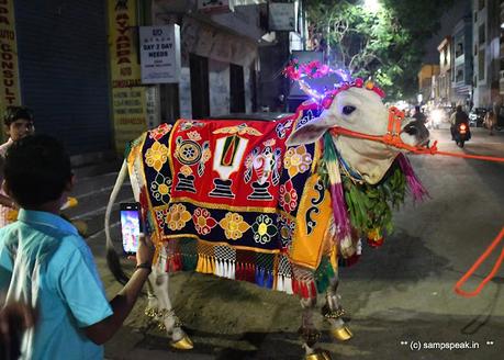 பொங்கலோ பொங்கல் ~ மாட்டு பொங்கல்  2022