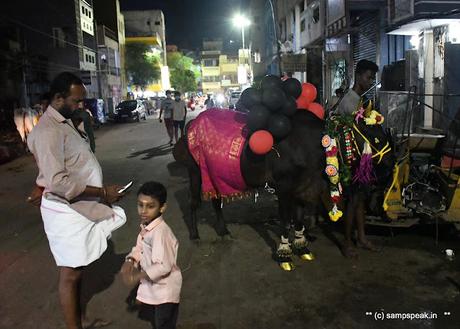 பொங்கலோ பொங்கல் ~ மாட்டு பொங்கல்  2022