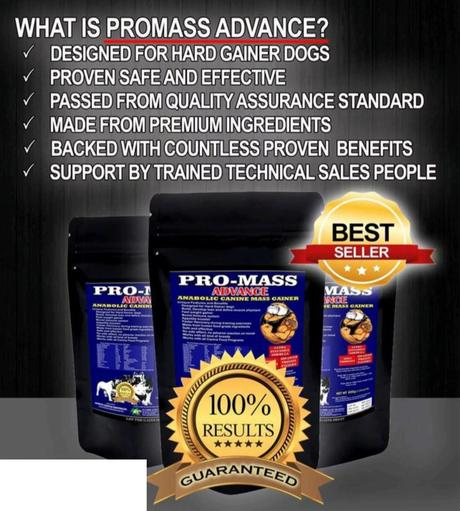 Review: Pro-Mass® Advance , Is It Really An Ultimate Canine Weight Gainer Supplement?