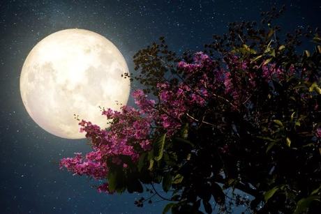 Full Moon in Cancer – Foreshadowing a deeper and more intense change