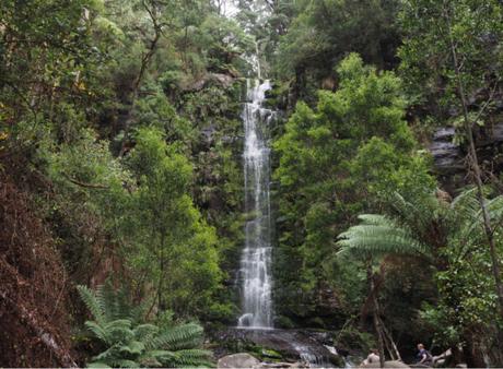 Driving The Great Ocean Road to See The 12 Apostles