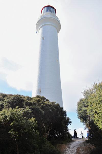 Driving The Great Ocean Road to See The 12 Apostles