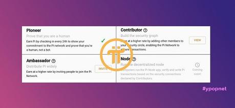 Roles in Pi Network