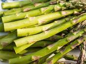Asparagus Market Global Industry Analysis, Size, Share, Growth, Trends, Forecast 2018 2026
