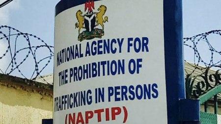 Jubilation As NAPTIP Reunites 32 Trafficking Victims With Families In Benue