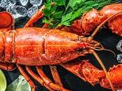 Interesting Facts About Lobsters.