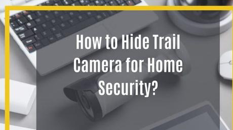 How to Hide Trail Camera for Home Security? Unique Ways to Hide Your Trail Camera