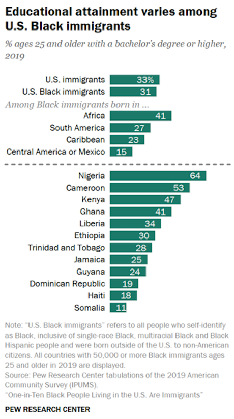 Black Immigration Growing -  Makes Up 10% Of Blacks In U.S.