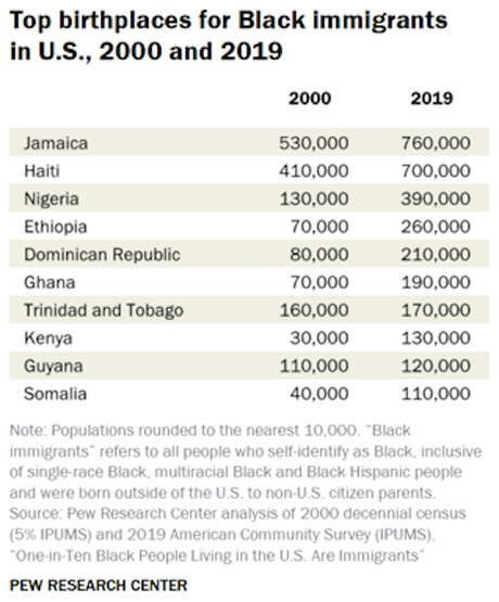Black Immigration Growing -  Makes Up 10% Of Blacks In U.S.