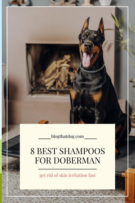 best doberman pinscher shampoos