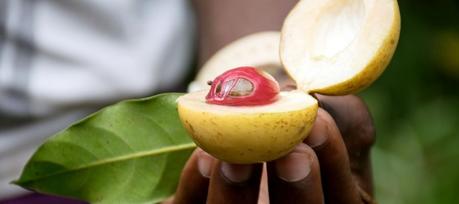 8 Science-Based Benefits of Nutmeg Oil
