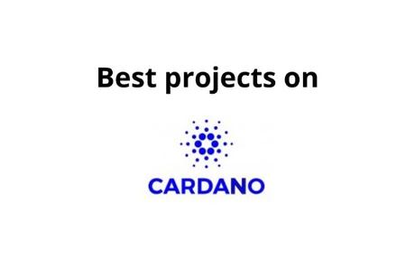 4 Best cardano projects 4 Best cardano projects