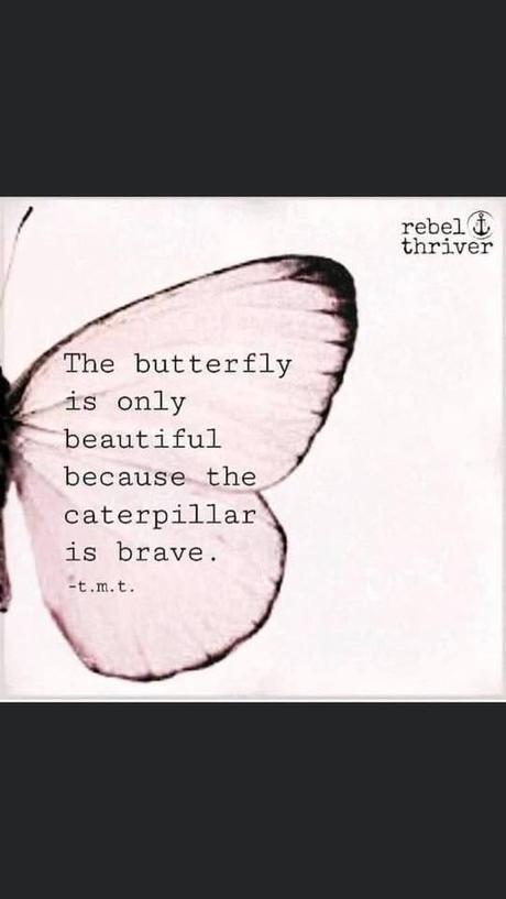 May be an image of flower and text that says 'rebel + thriver The butterfly is only beautiful because the caterpillar is brave -t.m.t.'