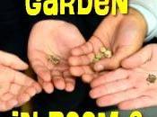 Review PLANTING GARDEN ROOM