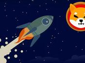 There Going Burn Pump Shiba Coin? Explained