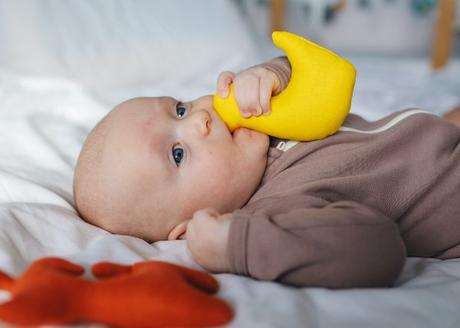 Are teethers for babies safe? Your Ultimate Guide to Baby Teethers