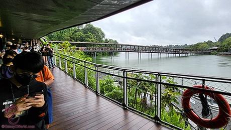 Visiting Le Le (叻叻) At River Wonders Singapore