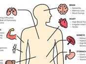 Effects Alcohol: What Does Alcohol Your Body?