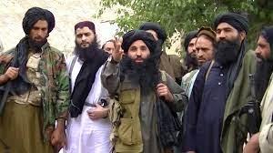 Senior Pakistani Taliban leader killed in Afghanistan: Official