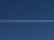 There Thousands Empty Flights Polluting Skies?