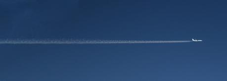 Why Are There Thousands of Empty Flights Polluting Our Skies?