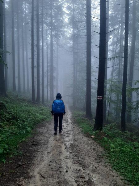 Long-Distance Hiking in Poland – The Small Beskid Trail