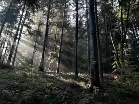 Long-Distance Hiking in Poland – The Small Beskid Trail