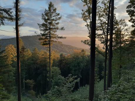 Long-Distance Hiking in Poland – The Small Beskid Trail