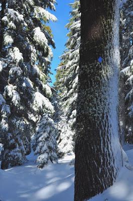 SNOWSHOEING TO CRATER LAKE, OREGON,  Guest Post by Caroline Hatton at The Intrepid Tourist