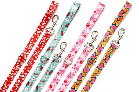 Valentine's day dog leashes and collars