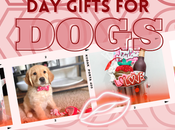 Adorable Unique Valentine's Gifts Dogs