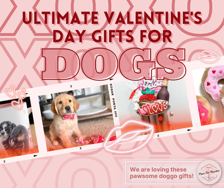 Ultimate Valentine's Day gift guide for dogs