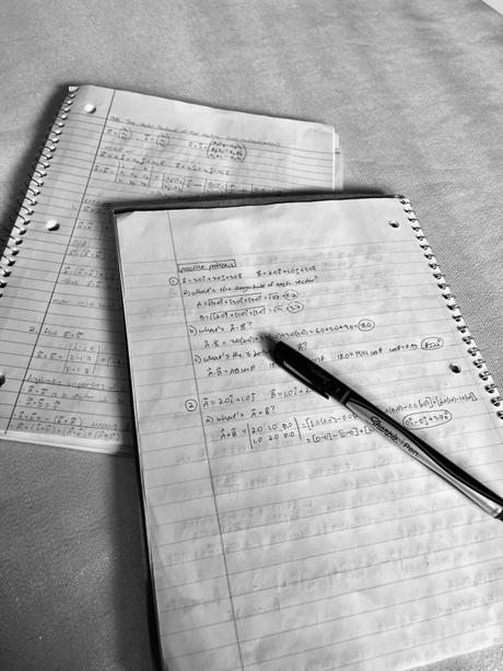 study-acad3mia:Day 3/100Today was mostly spent on reviewi... study-acad3mia:Day 3/100Today was mostly spent on reviewi...