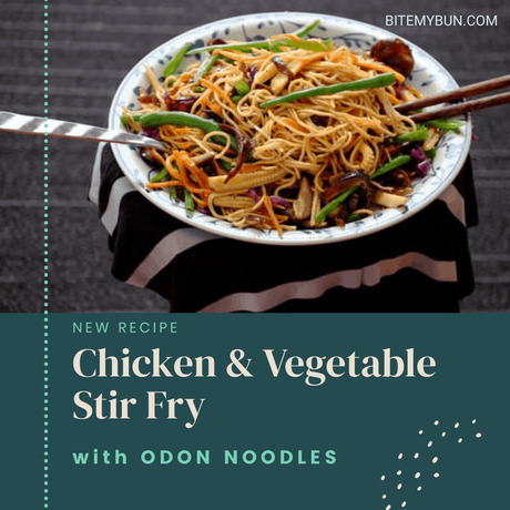 Chicken and vegetable stir fry with odon noodles