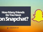 Many Friends Have Snapchat